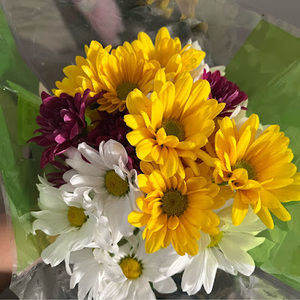 Meet your Posher, Esmeralda